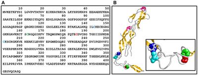 Optimization of a Methodology for Quantification and Removal of Zinc Gives Insights Into the Effect of This Metal on the Stability and Function of the Zinc-Binding Co-chaperone Ydj1